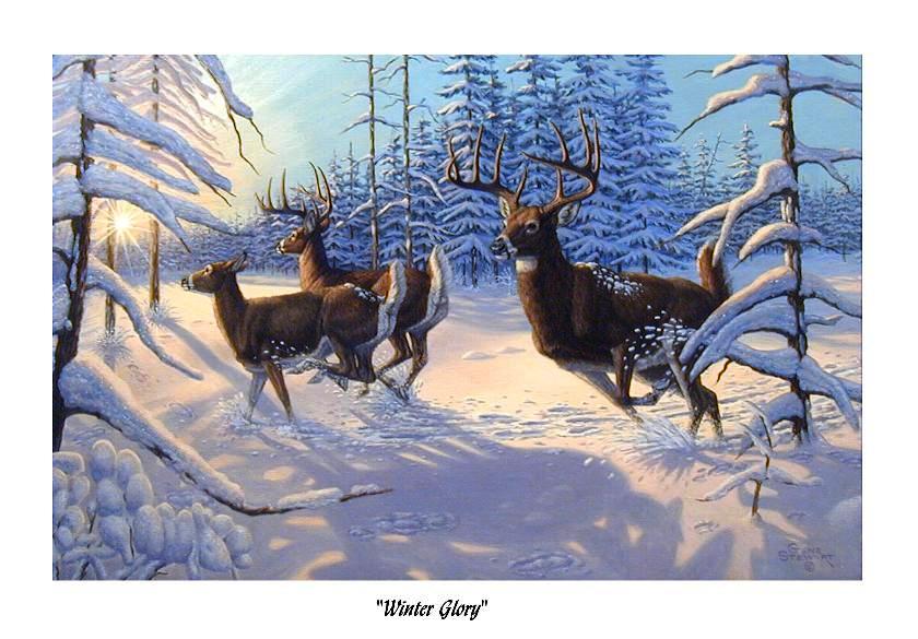 Winter Glory, print
